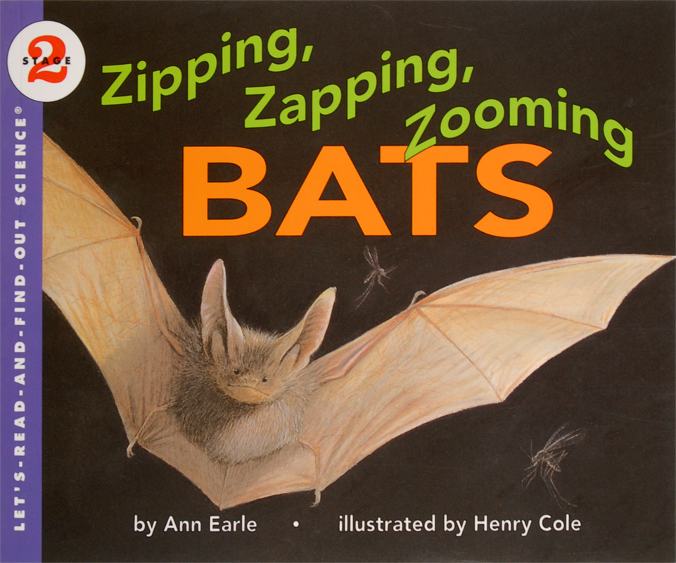Zip Zap Zooming Bats